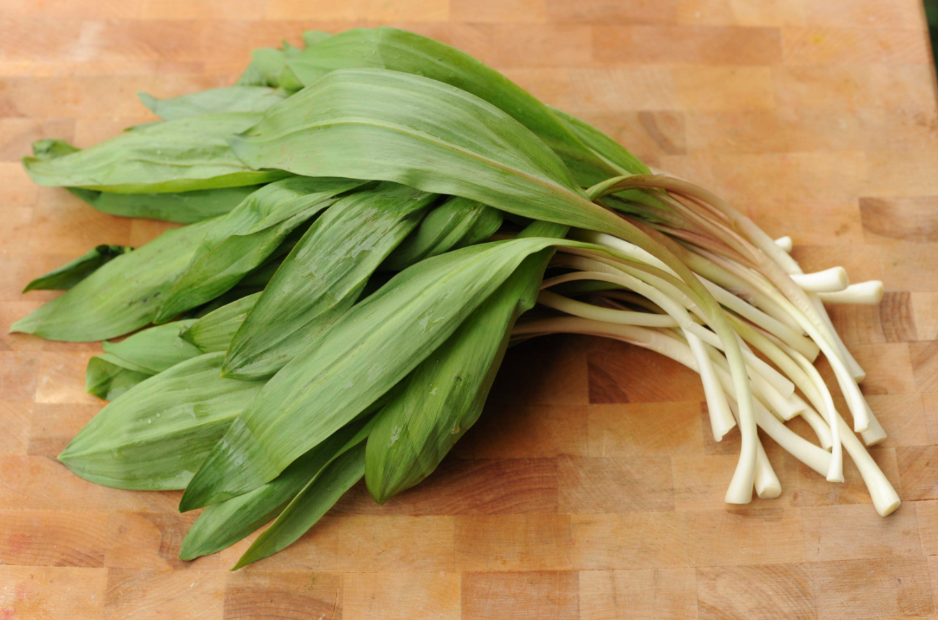 Ramson for the dish