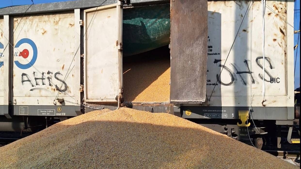 Poles carried out the largest sabotage with Ukrainian grain: details