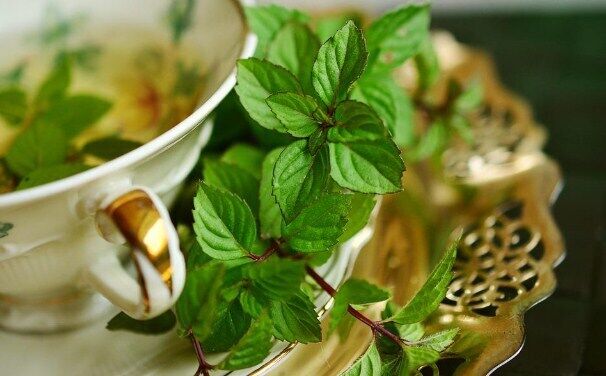 Tea with dry mint