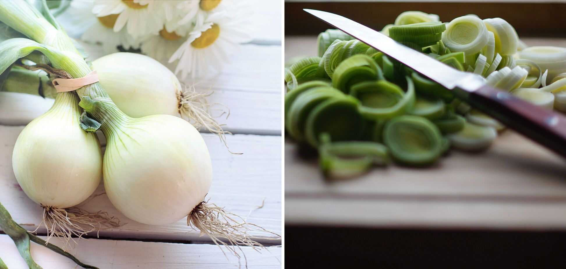 Onions for minced meat