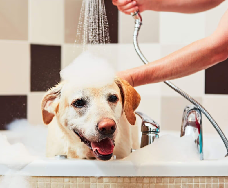 How to clean an acrylic bathtub from dirt and rust: effective home methods