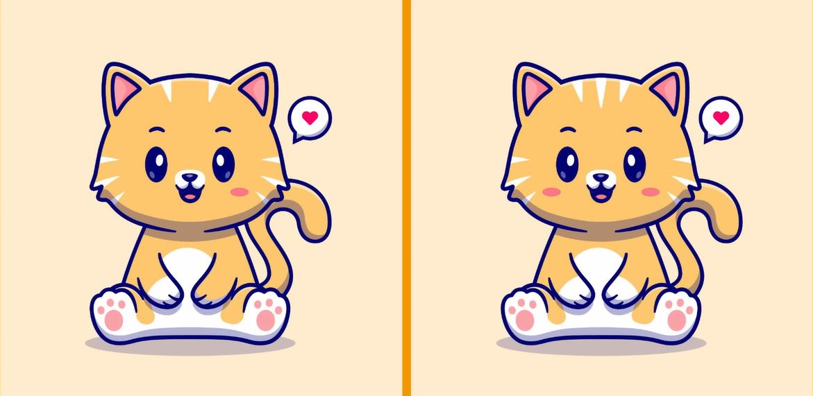 Find three differences in this cute picture of a cat in eight seconds