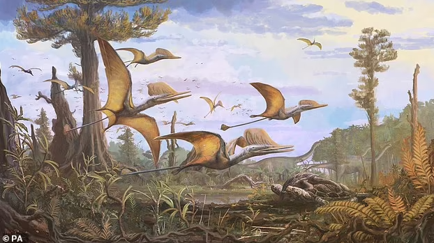 Unique pterosaur fossils discovered in Scotland: it is a never-before-seen species