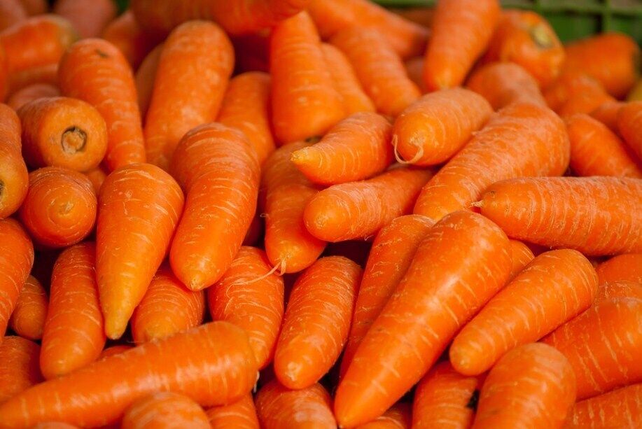 How to store carrots properly and with which vegetables