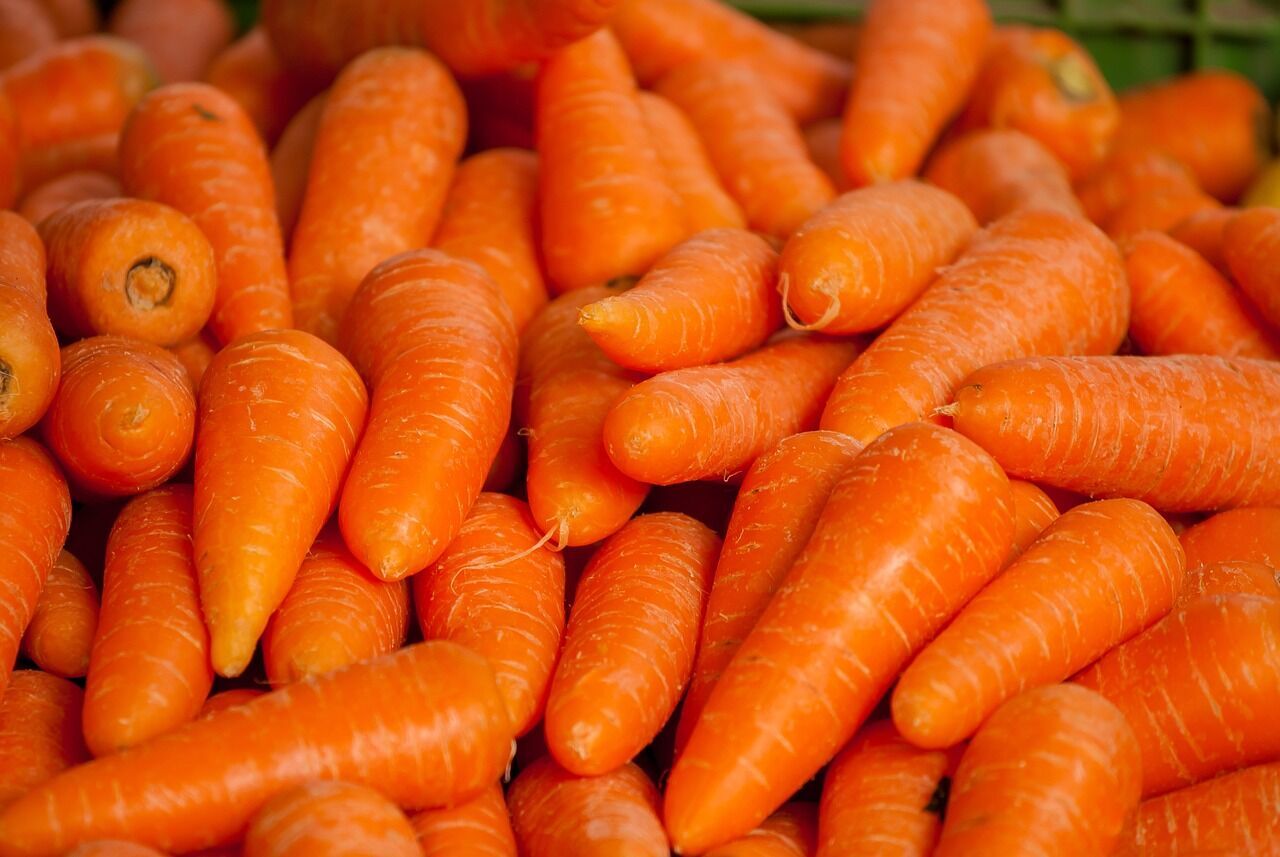 Carrots for cooking