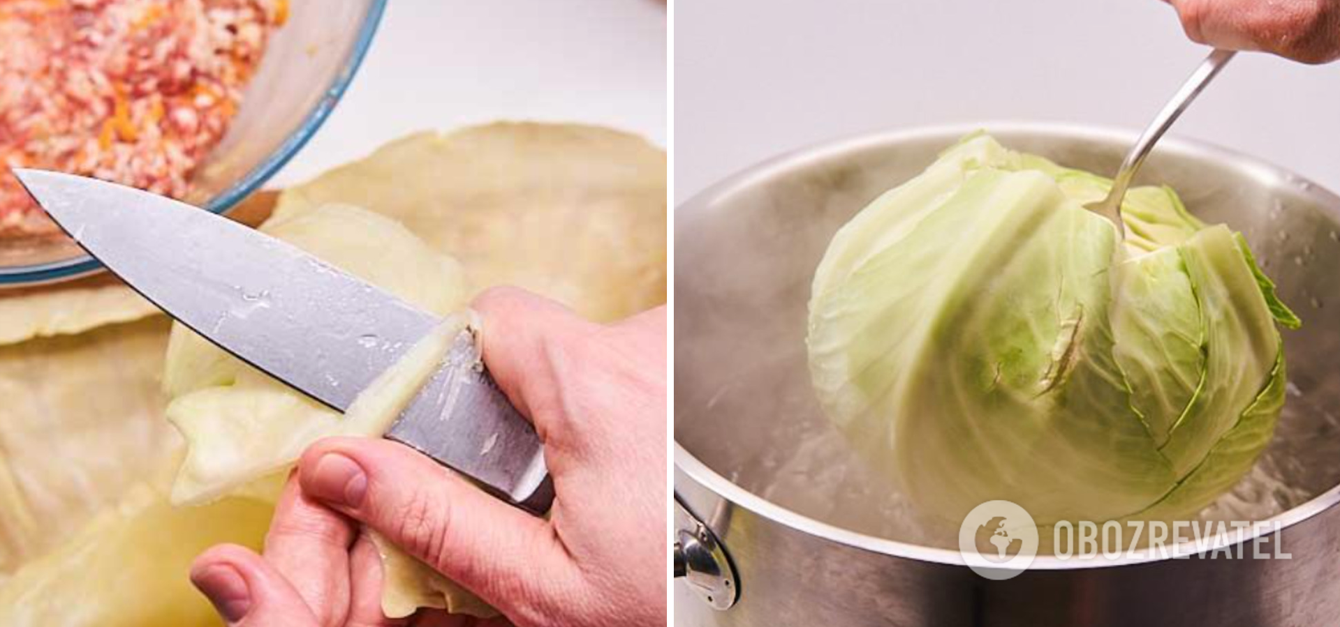 Cabbage for stuffed cabbage rolls