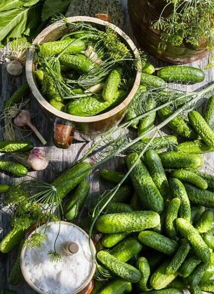 Pickled cucumbers with garlic