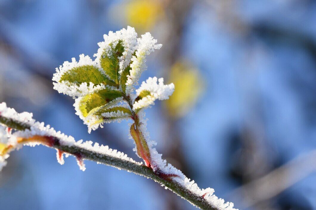 What all gardeners should do in the vegetable garden, garden and flower garden in March: a complete to-do list