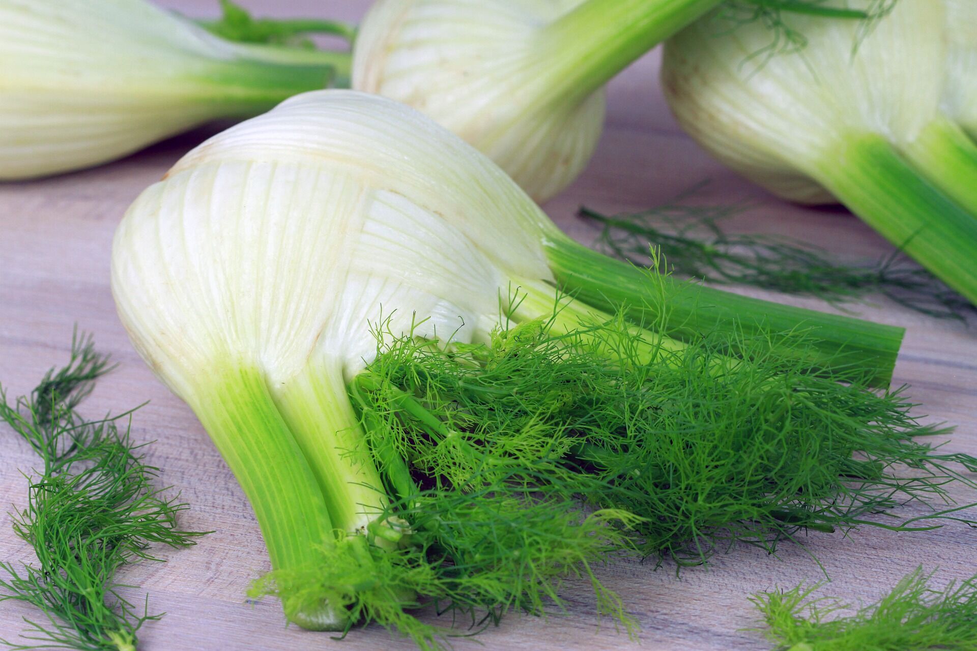 Fresh fennel