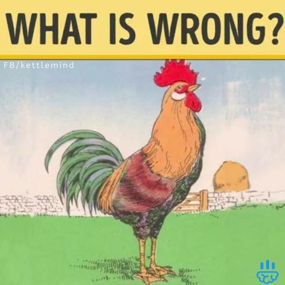 What's wrong with the picture? Find the error in an old poster with a rooster