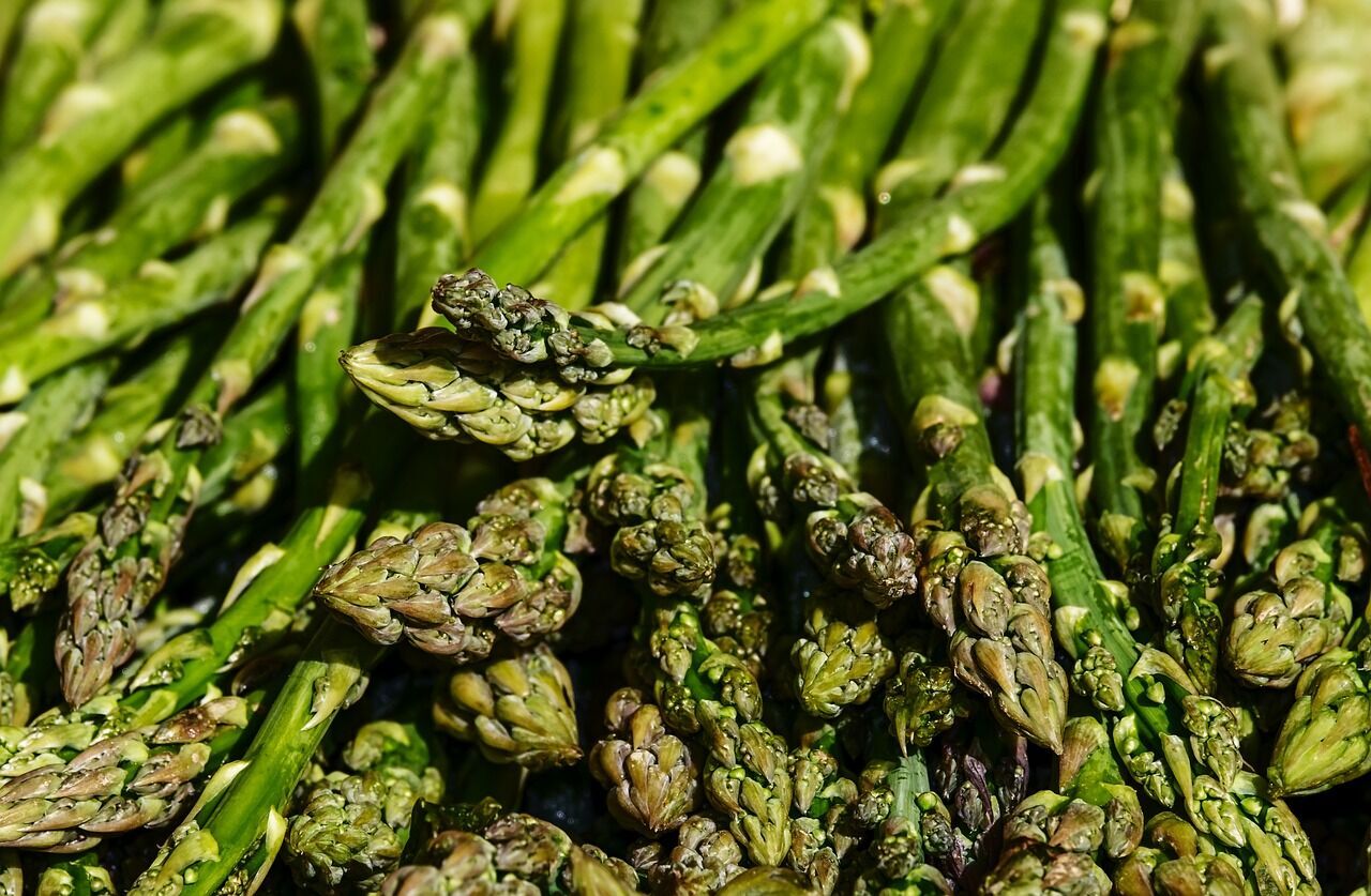 What to do to keep asparagus fresh for longer: a tried-and-true life hack