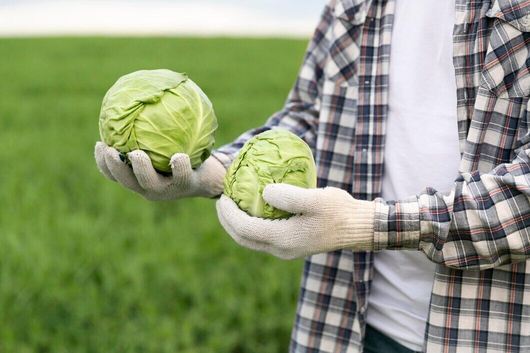 What seeds for seedlings should not be soaked: all summer residents should know