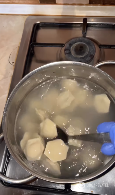 What filling for dumplings, besides minced meat, can be used: an unusual filling option