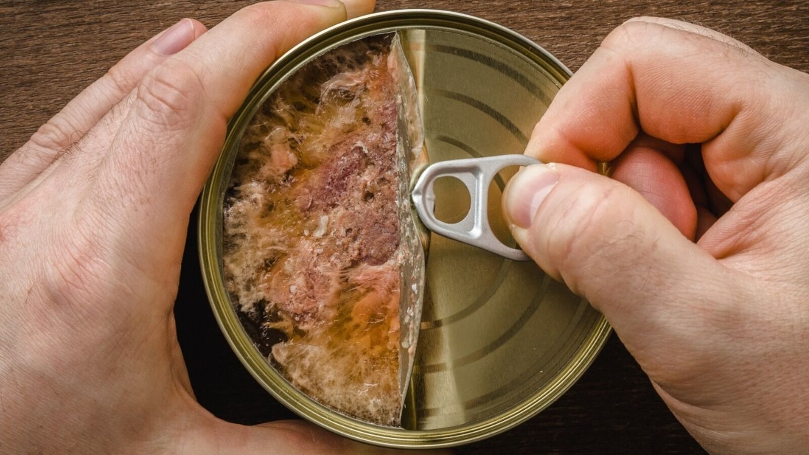 How to keep canned food open so that it does not deteriorate: effective tips