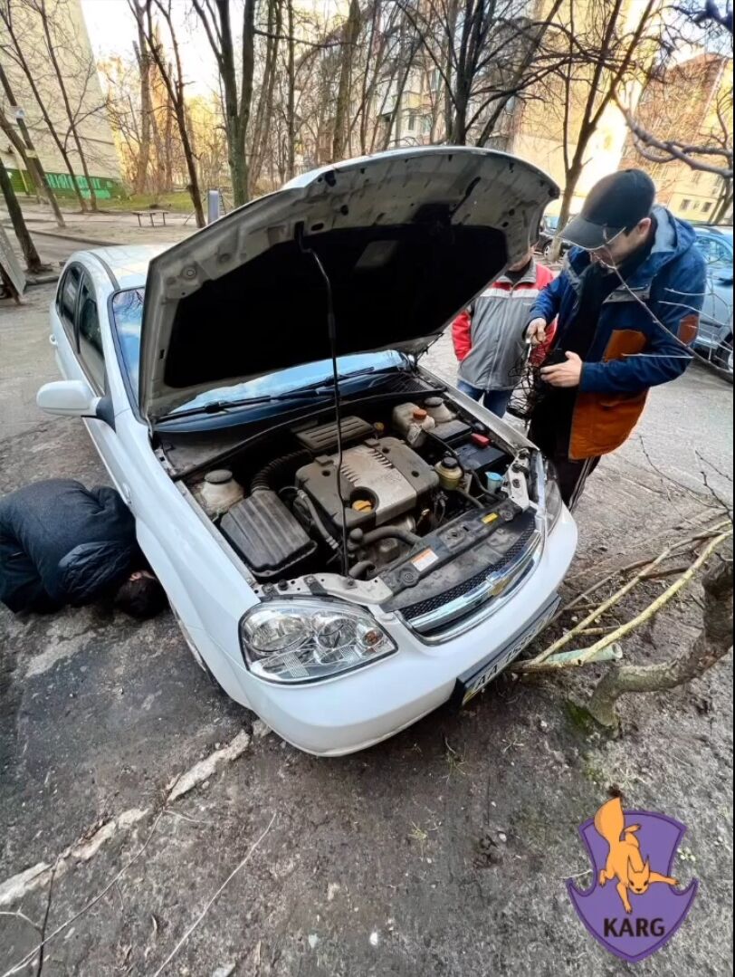 W Kijowie kobieta znalazła pod maską swojego samochodu węża z centralnego Meksyku. Szczegóły i wideo