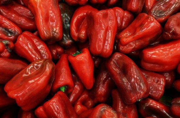 Recipe for pepper appetizer