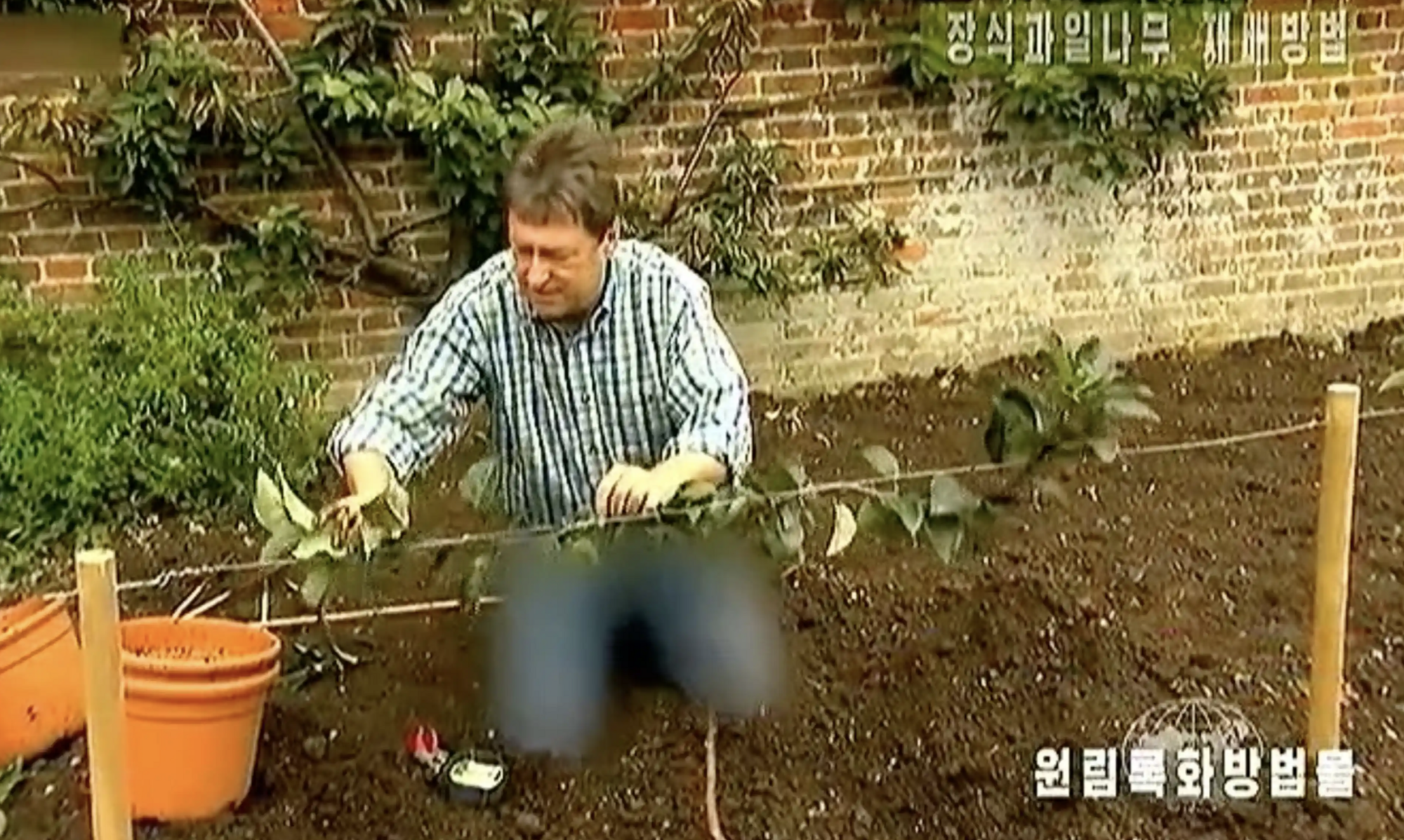 BBC presenter's jeans censored on DPRK TV: what's wrong with them. Photos and videos