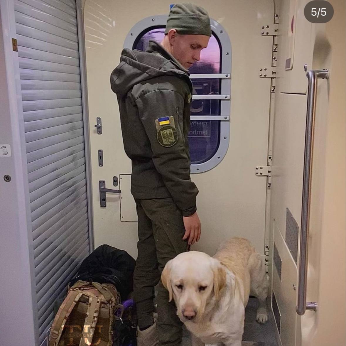 Ukraiński żołnierz musiał stać w przedsionku pociągu przez trzy godziny z powodu psa służbowego: UZ reaguje na skandal