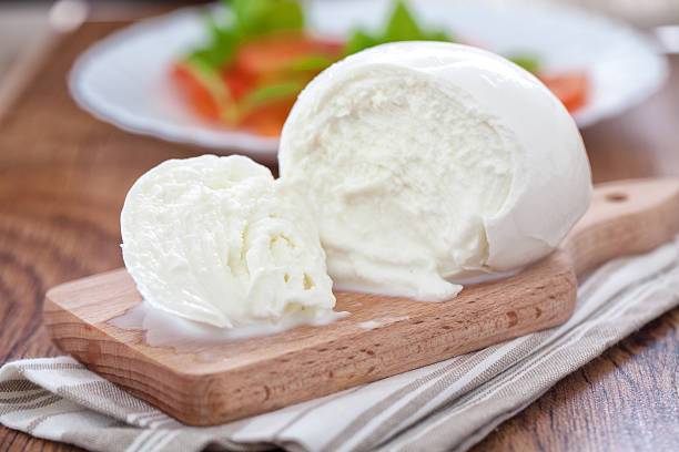 Homemade mozzarella