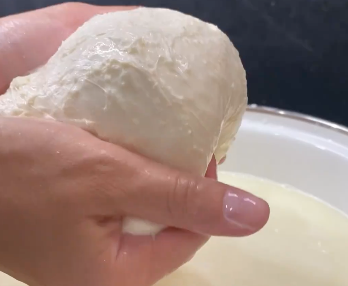 Homemade mozzarella cheese