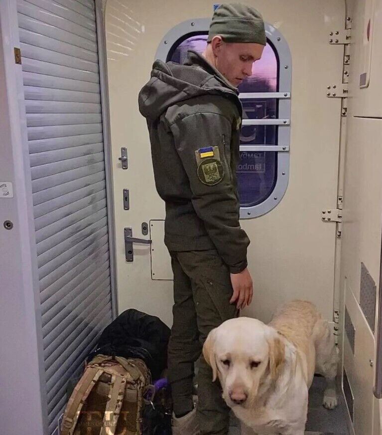 After the scandal with the military and service dog, Ukrzaliznytsia made an important decision
