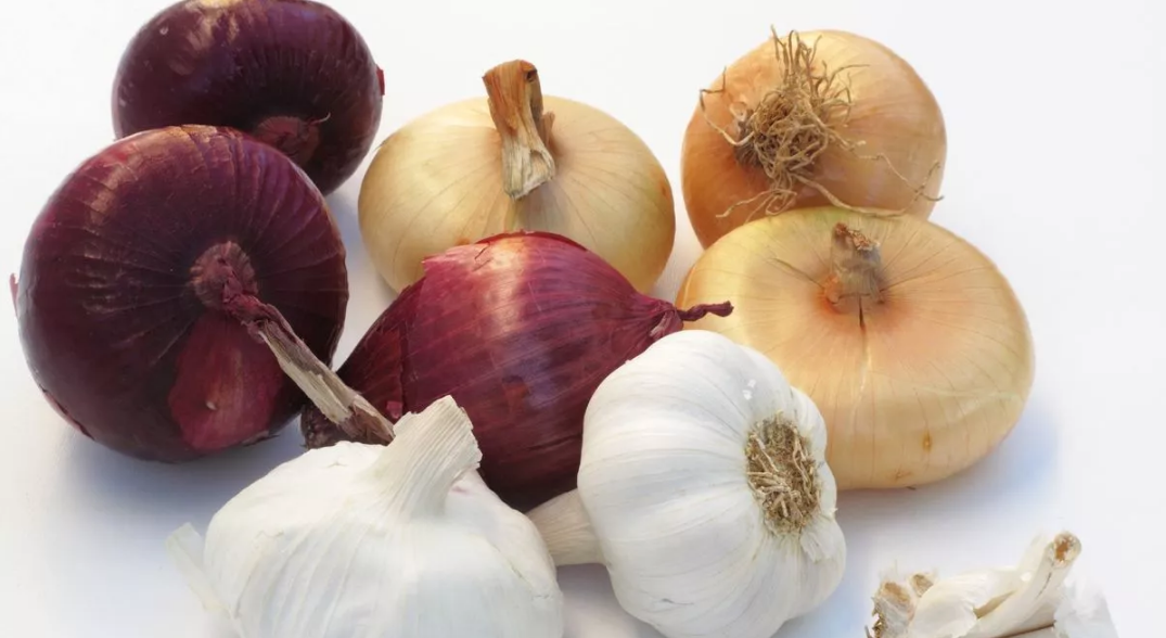 Where is the best place to store onions: will not rot
