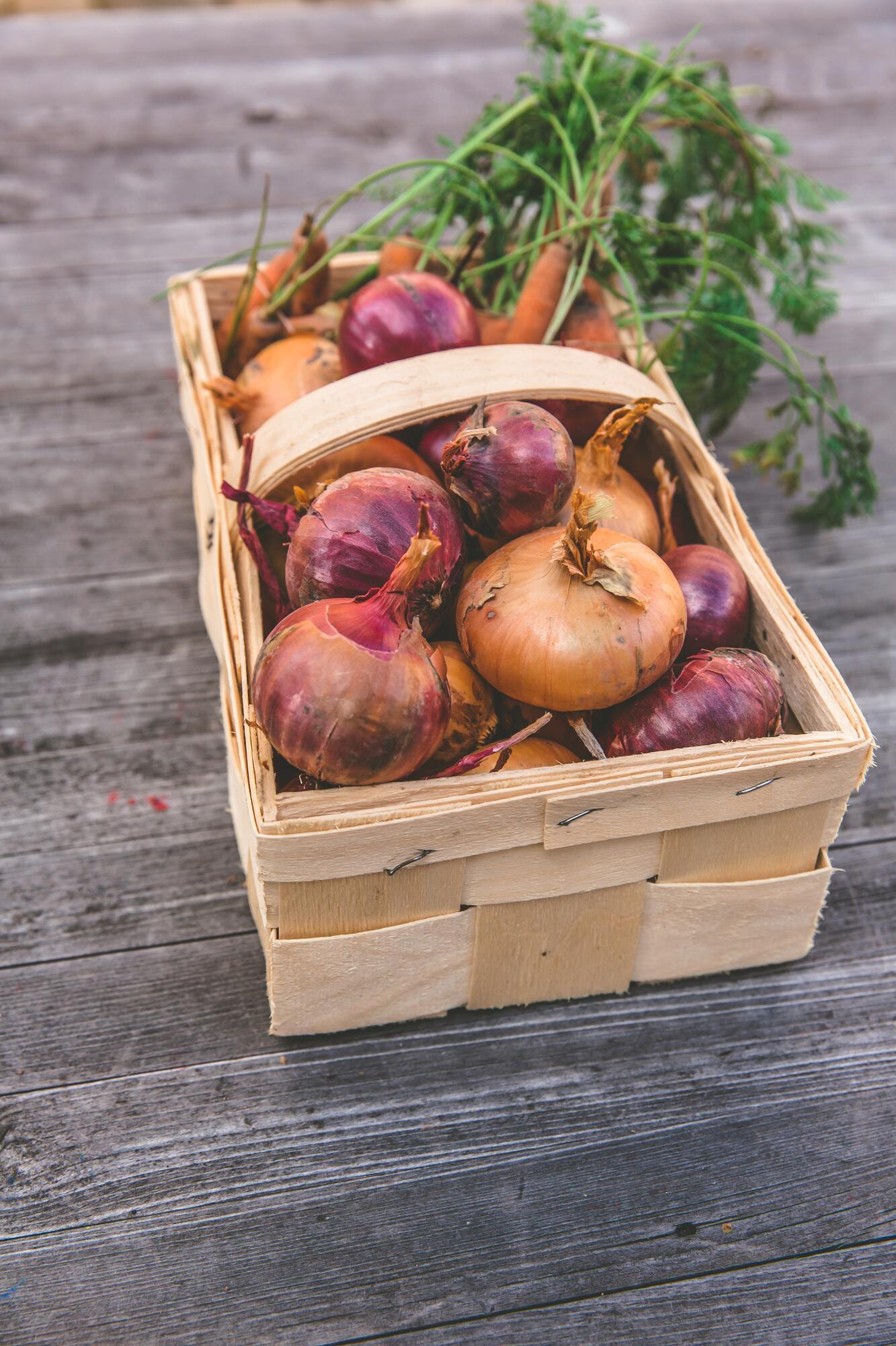 Where is the best place to store onions: will not rot