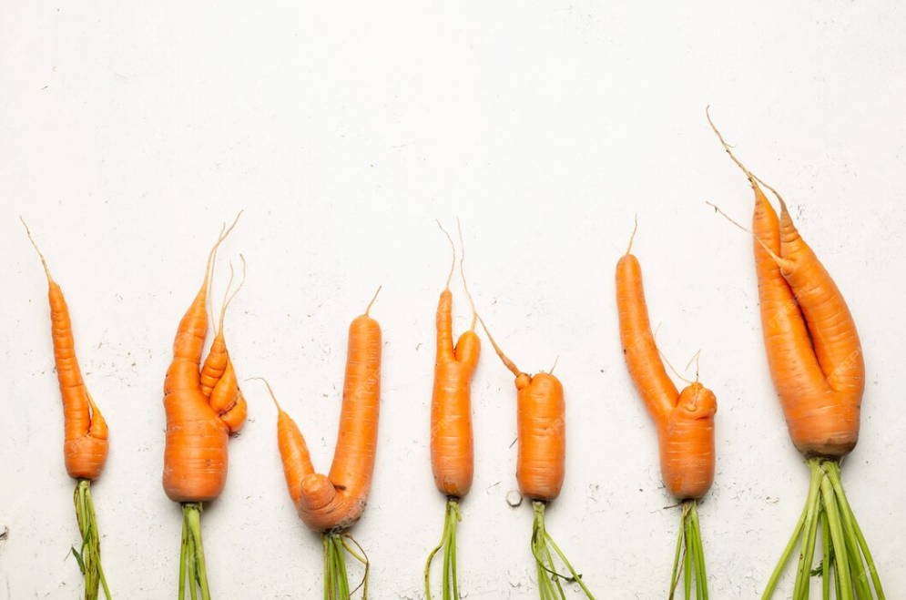 How to grow carrots sweet and straight: tips for summer residents