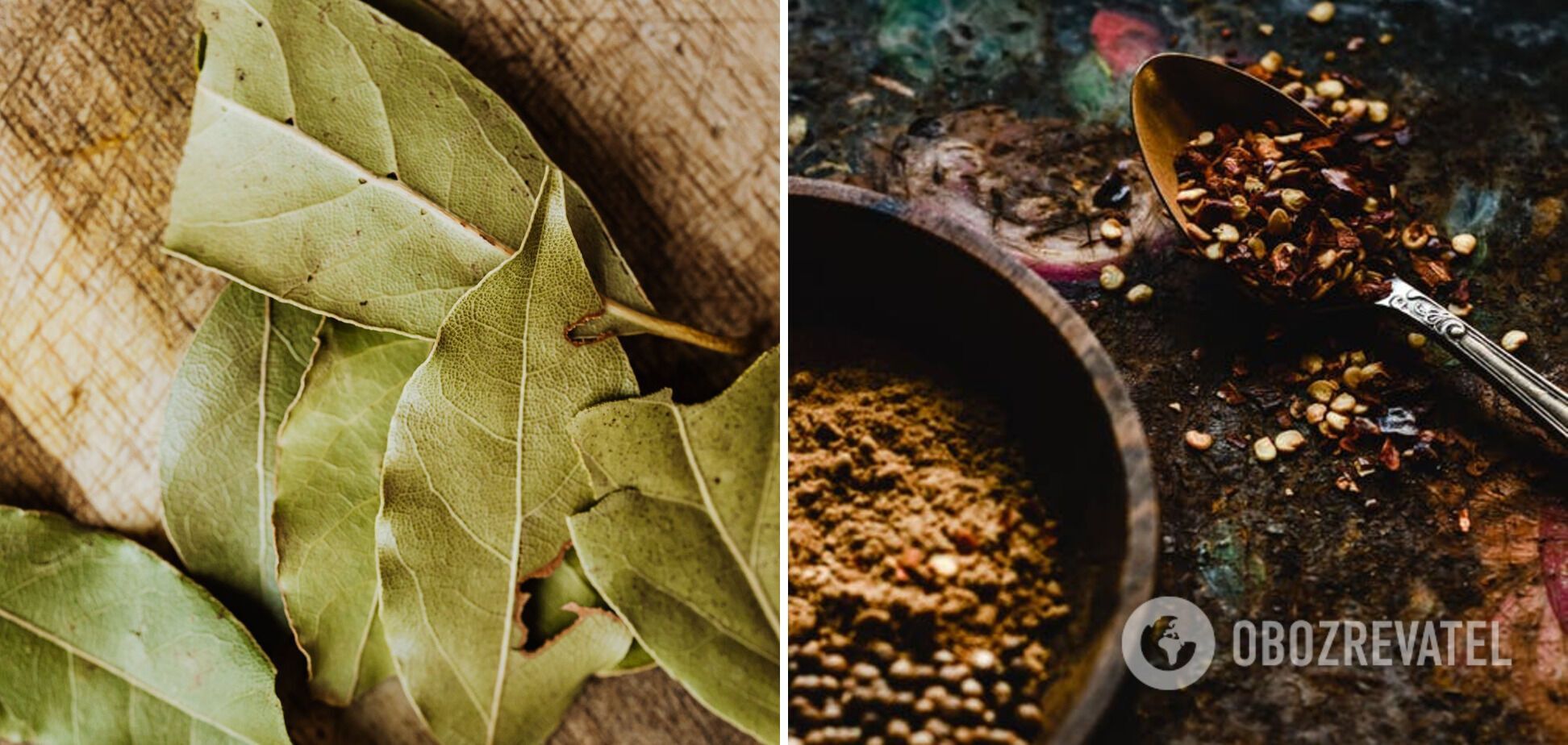 Bay leaves and spices