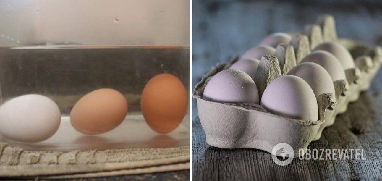 How to check an egg for freshness
