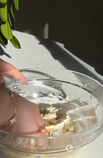 Classic burger with a crispy homemade bun: how to make the ferment correctly