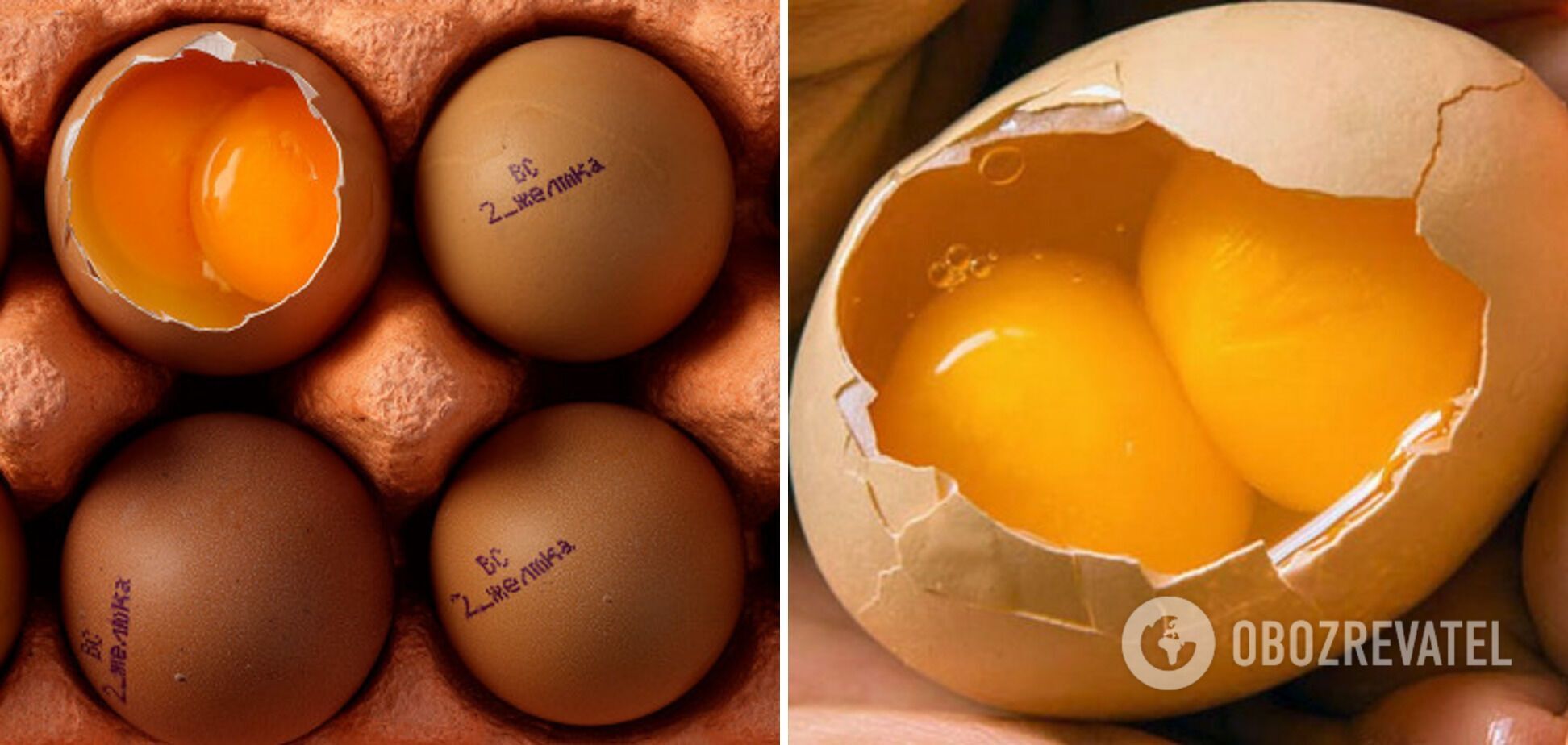 What are the benefits of chicken eggs