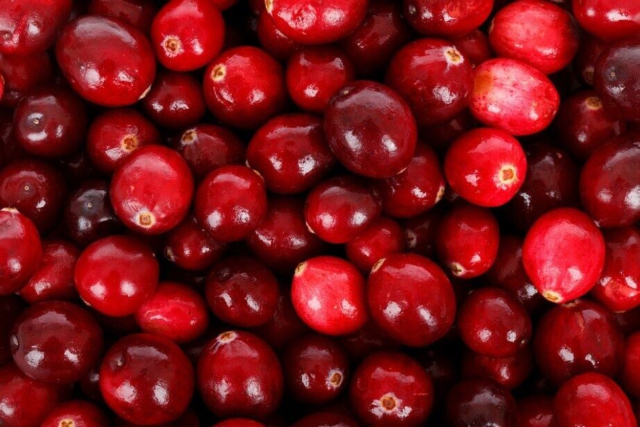 Why cranberries are good for you