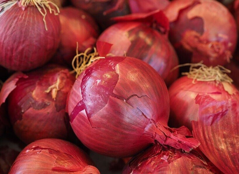 How to cut onions correctly