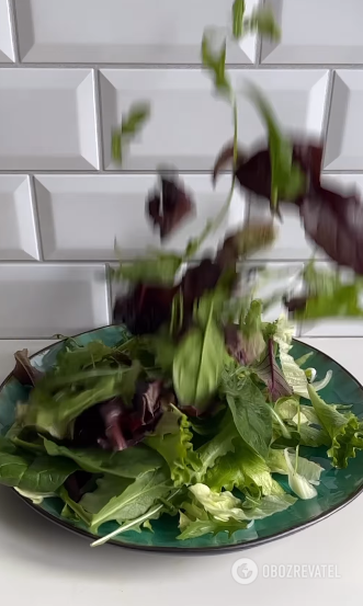 Fresh salad with herbs and vegetables: a must-eat in spring