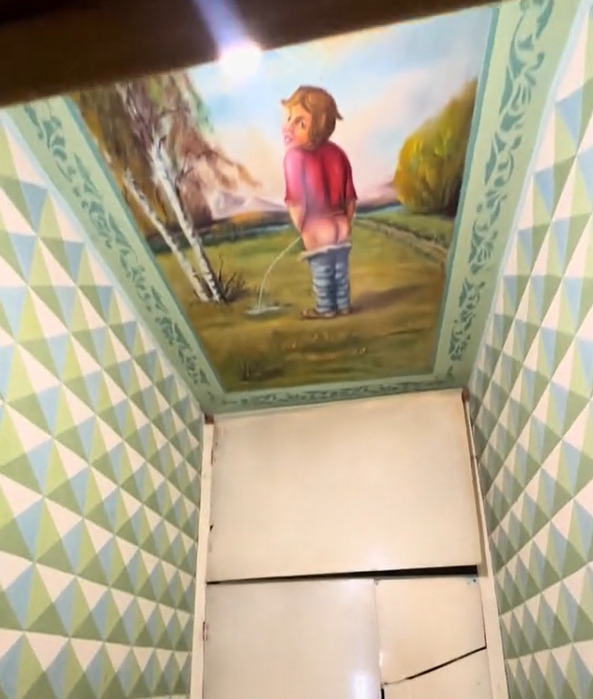 A man with his pants down is depicted on the ceiling in a toilet