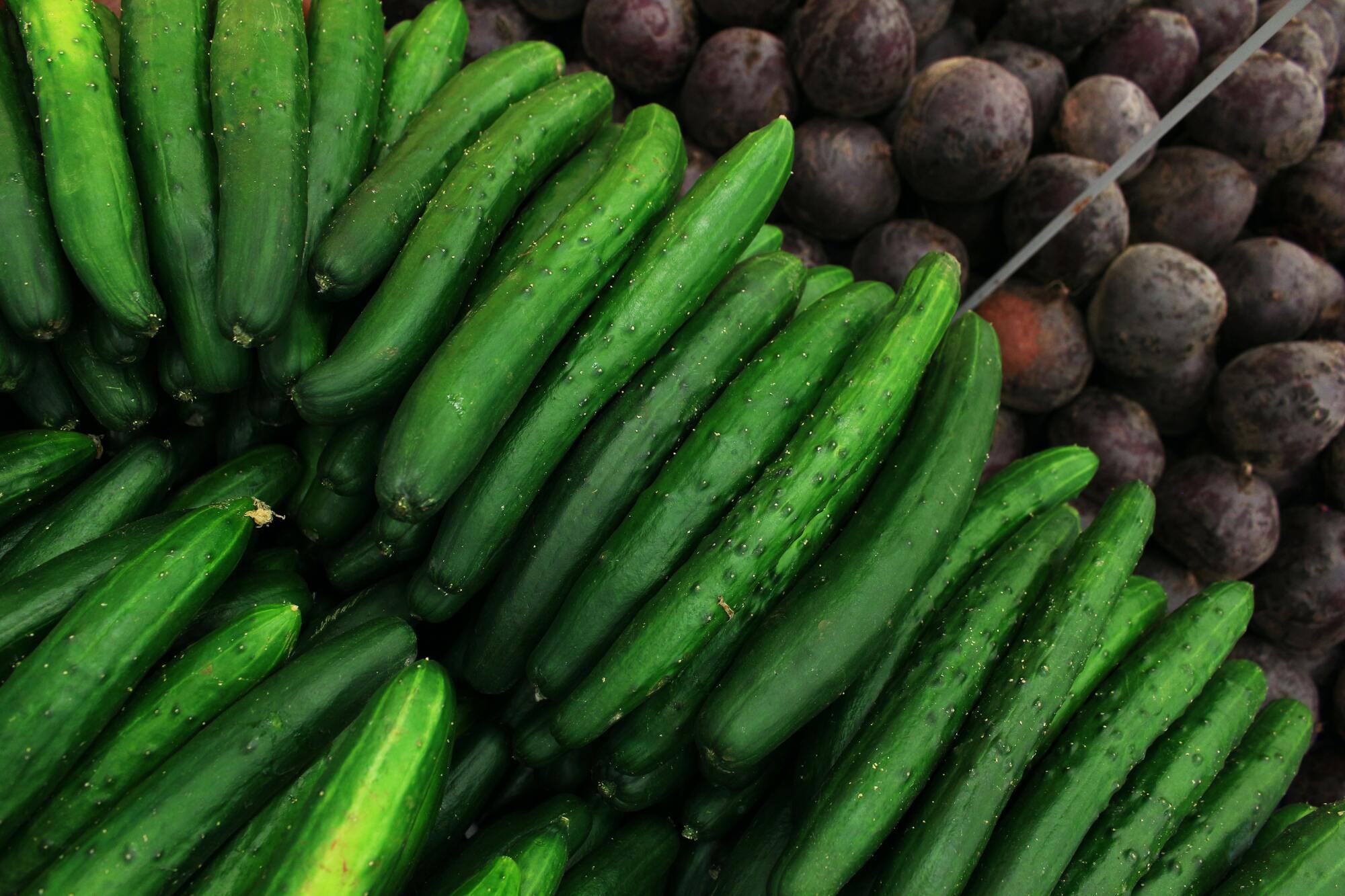 Cucumbers can be kept fresh in the refrigerator for about a week.