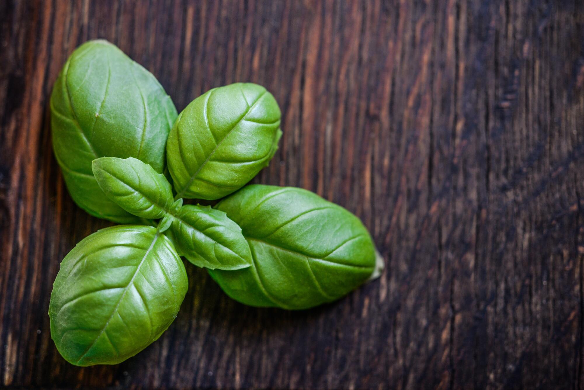 Basil for making bruschetta