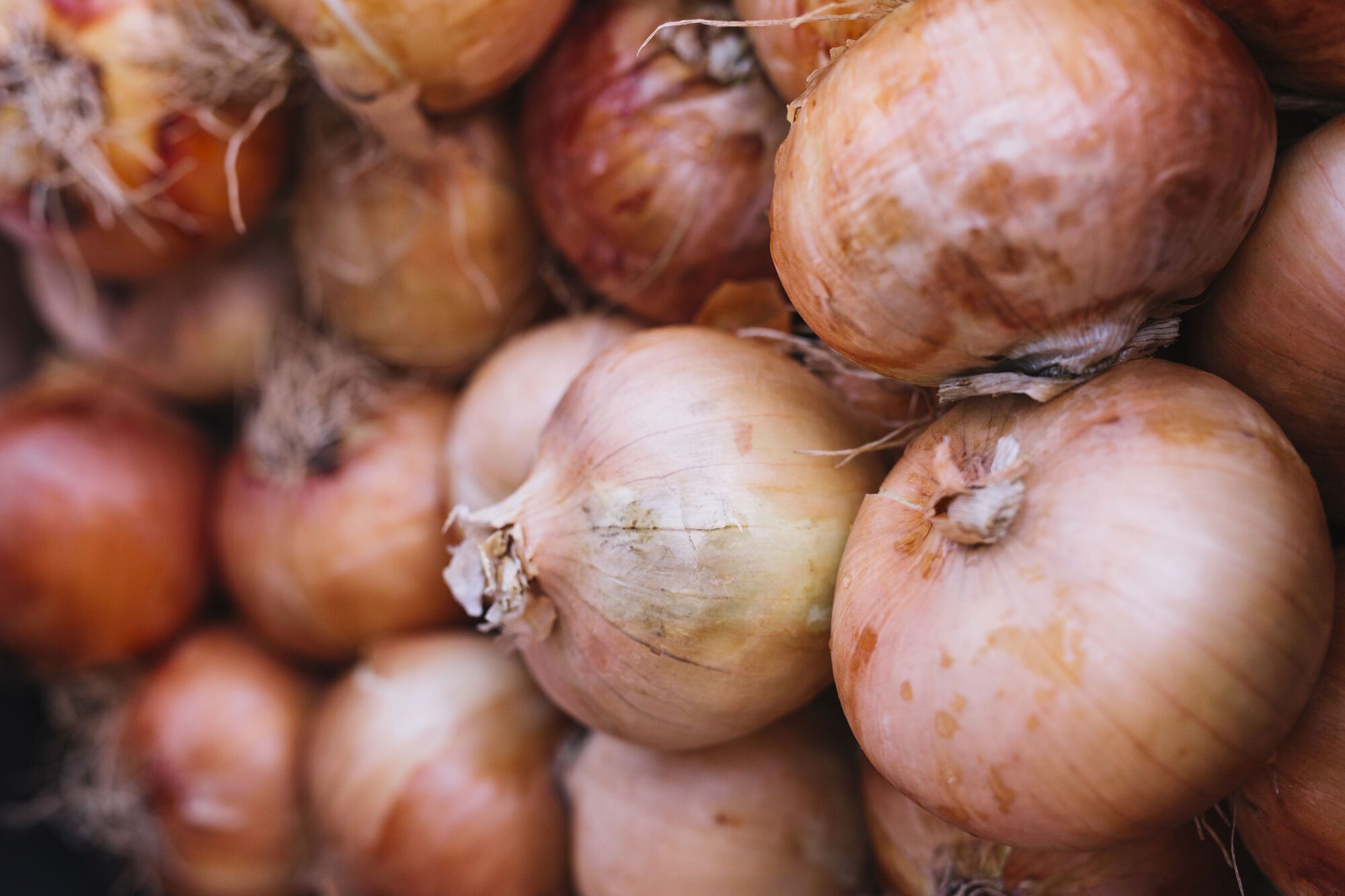 How to keep onions fresh for three months: expert advice