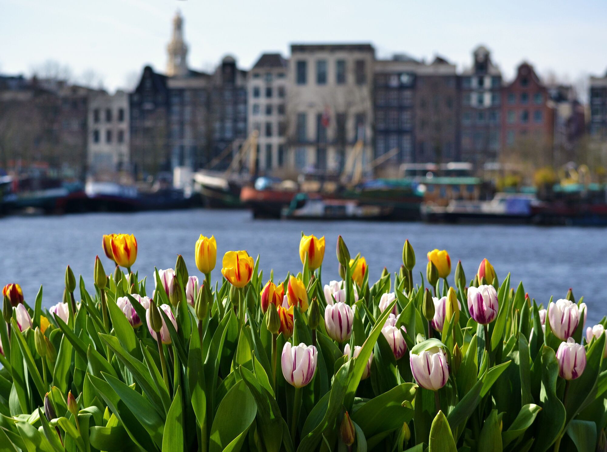 Blooming Europe: top cities to visit this spring