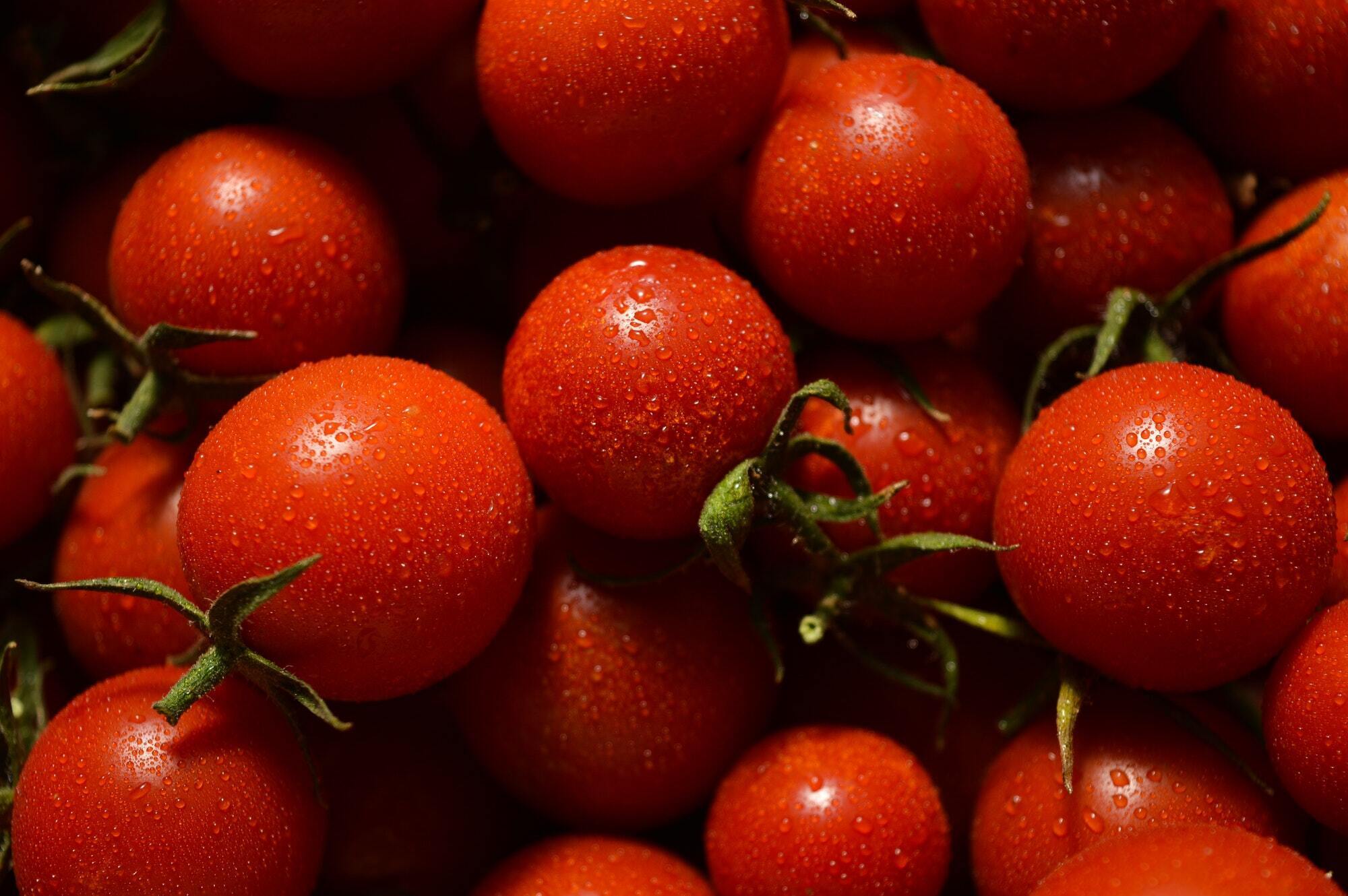 Homegrown tomatoes