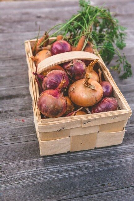 Jak prawidłowo przechowywać cebulę