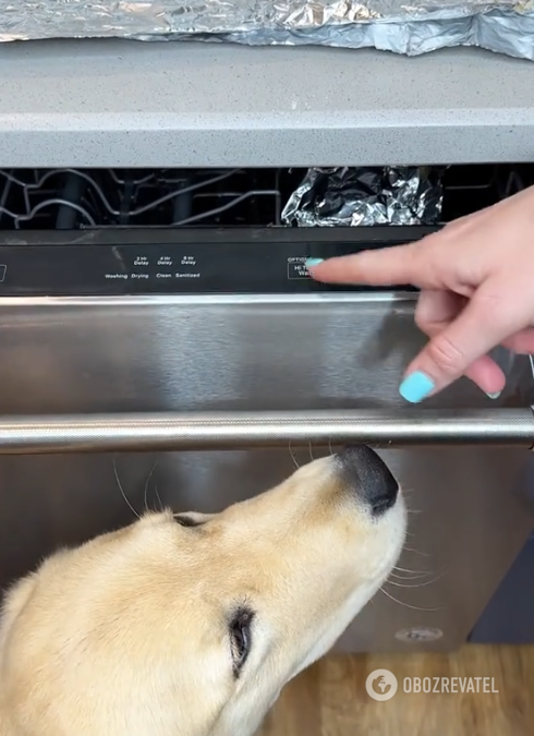 Strange but delicious: the blogger shared her life hack for cooking salmon in the dishwasher