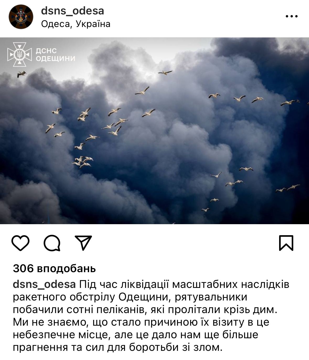 Nature also suffers from war. A photo of pelicans flying through the smoke from a rocket attack in Odesa region touched the web