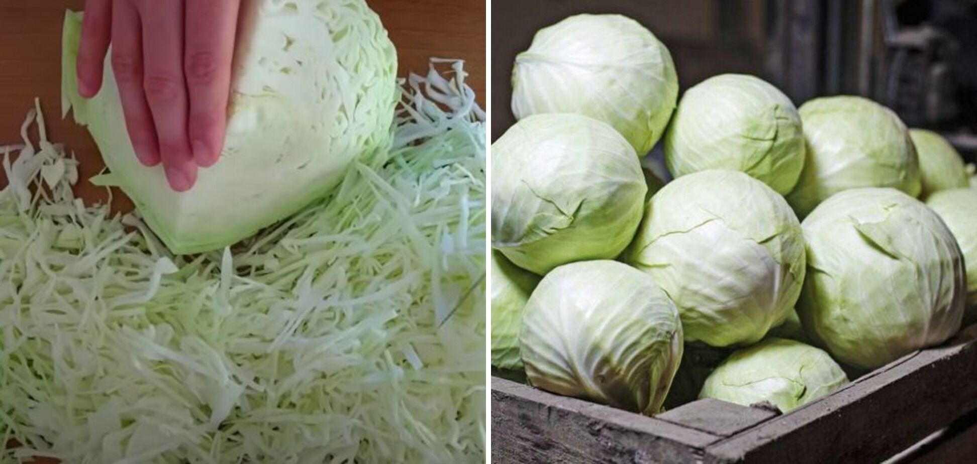 What dishes are not suitable for cooking sauerkraut: they should not be used