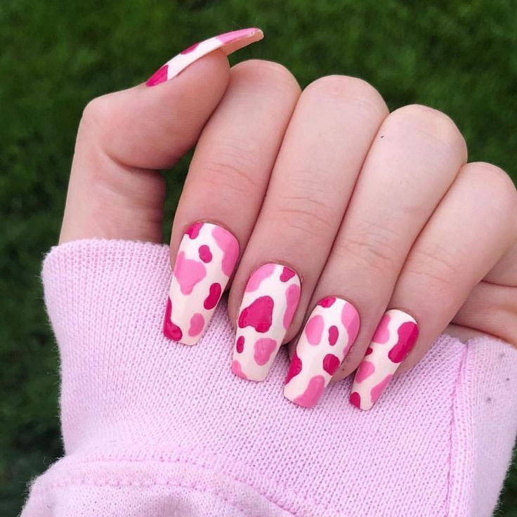 The most fashionable animal manicure of 2024 has been named. Photo