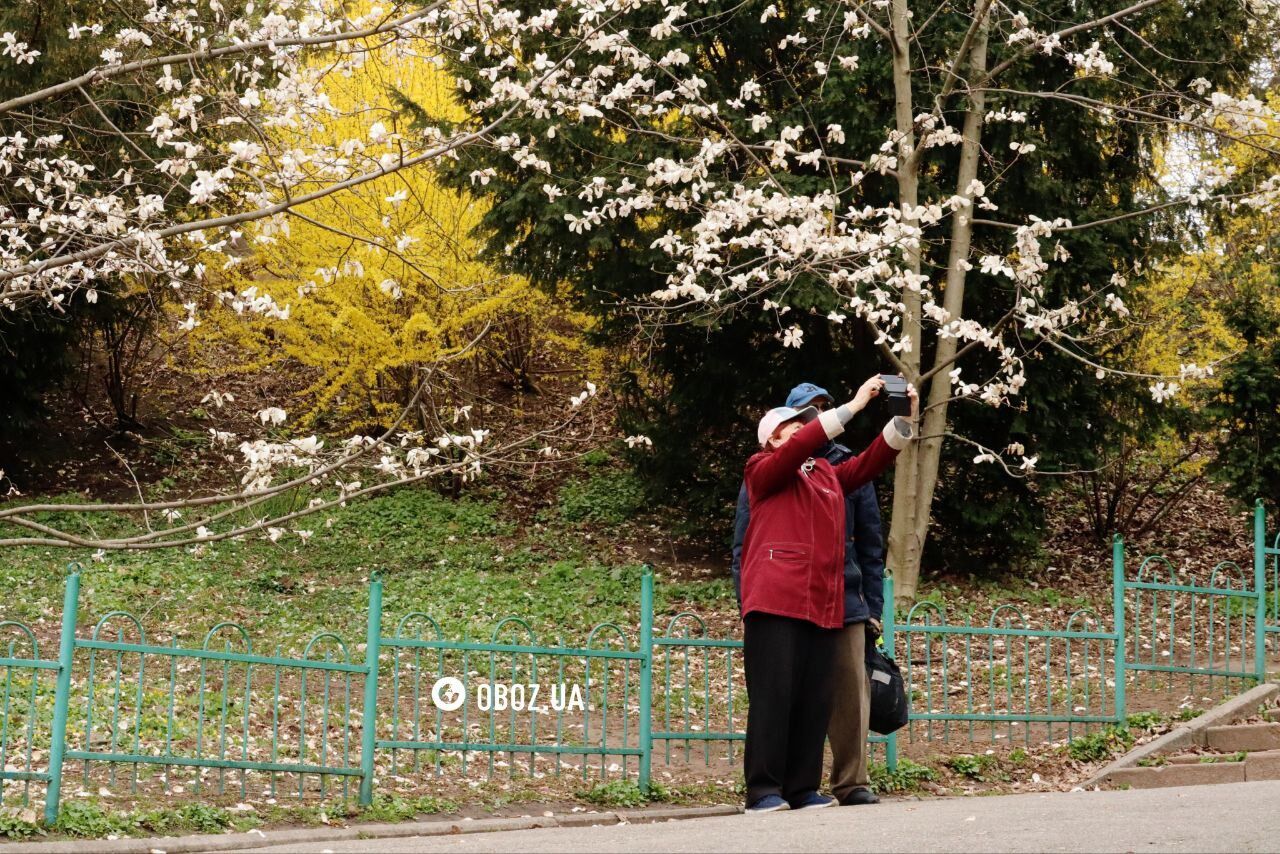Kwiaty sakury i magnolii w Kijowie: gdzie je zobaczyć. Raport fotograficzny