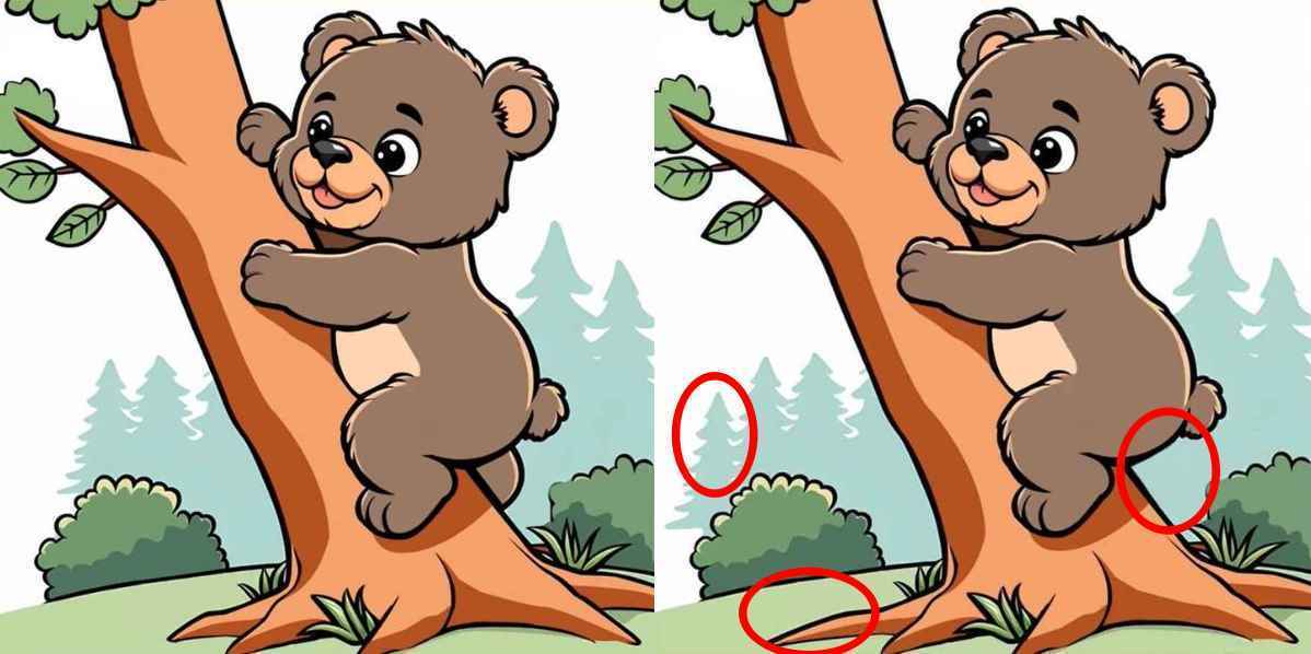 Spot the three differences: A fun puzzle to test your observation skills