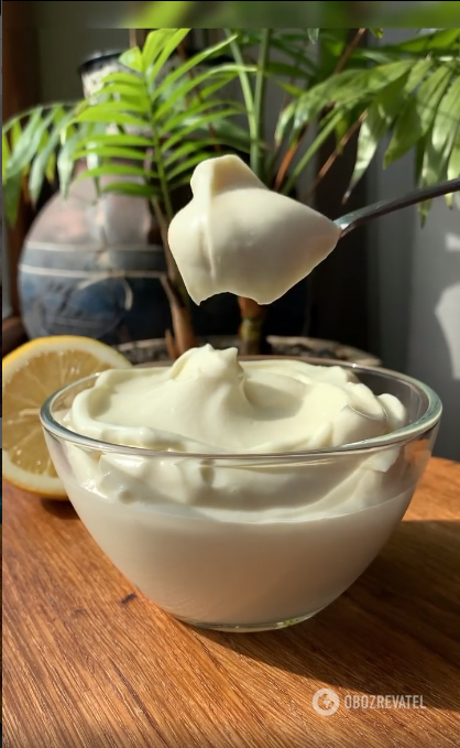 Ready-made homemade mayonnaise with milk