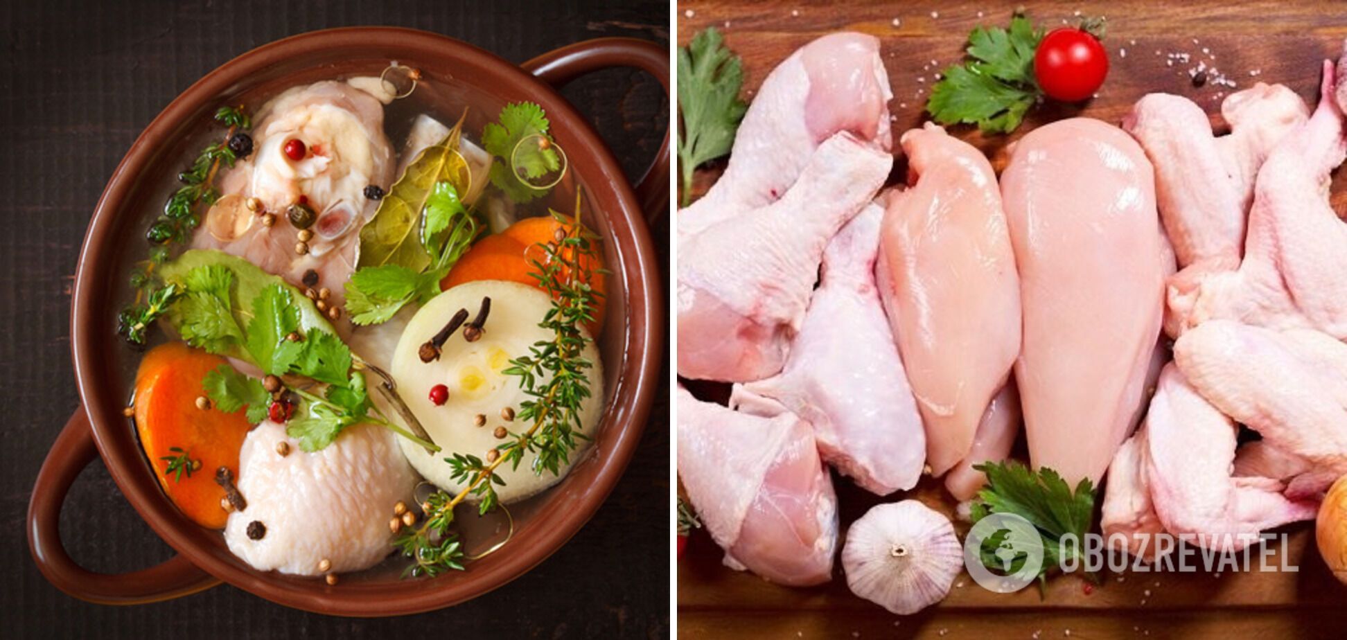 Chicken meat and vegetables for soup
